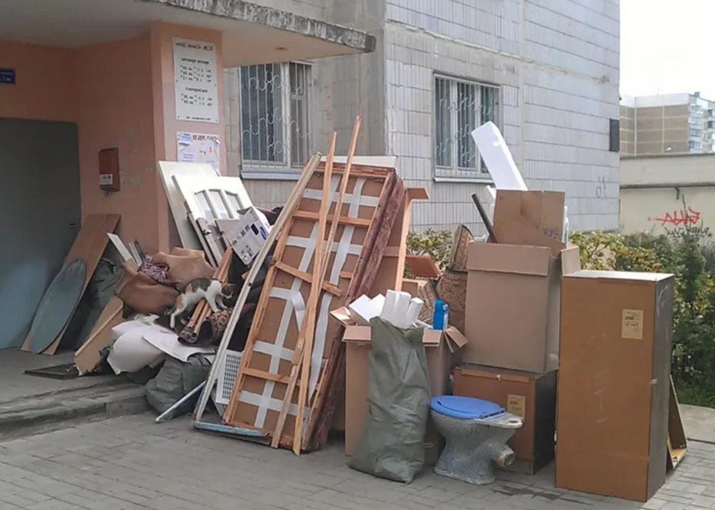 Профессиональный вывоз мусора из квартиры в Прохладном в октябре