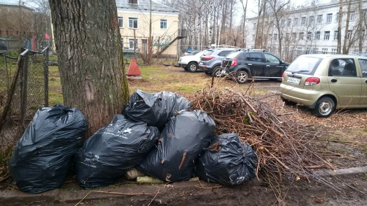 Вывоз мусора после субботника в Прохладном от ПроМусор – уборка и утилизация отходов от 2546 руб