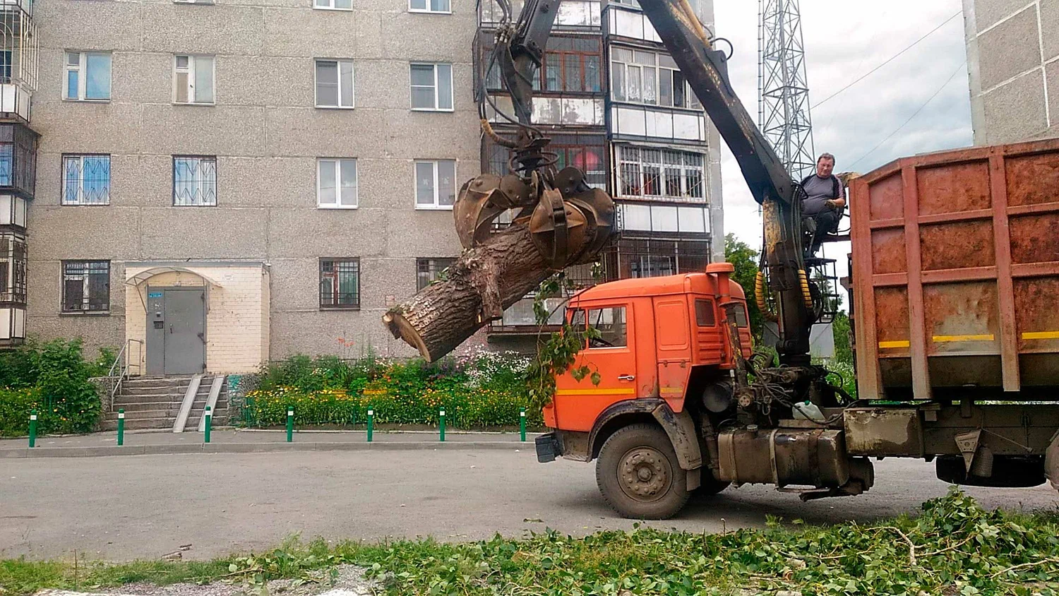 Вывоз спиленных веток и деревьев в Прохладном от ПроМусор: порубочные остатки, утилизация, цена от 3142 руб