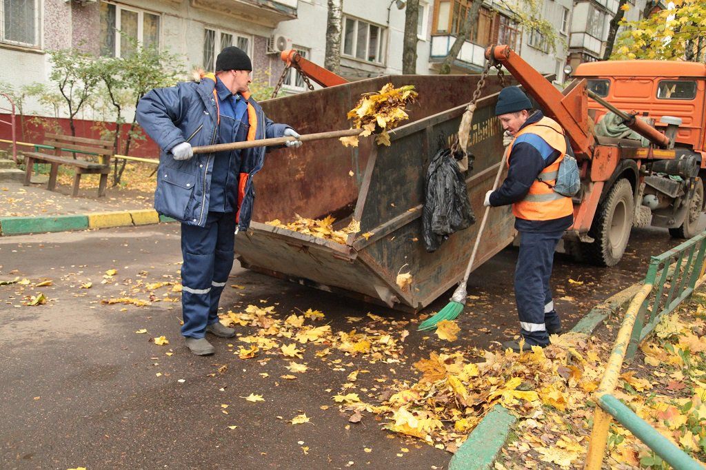 Вывоз опавшей листвы и растительного мусора в Прохладном от ПроМусор – цена от 4875 руб., быстрая уборка и утилизация